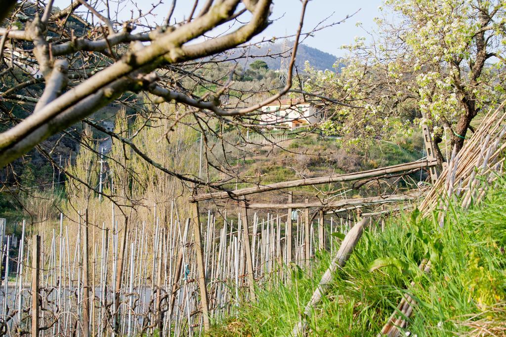Apartament Family House Levanto Pokój zdjęcie